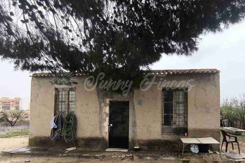 Landejendom i Monovar, Alicante, Monovar - € 88.000 | Ref: SF0564 - foto 3